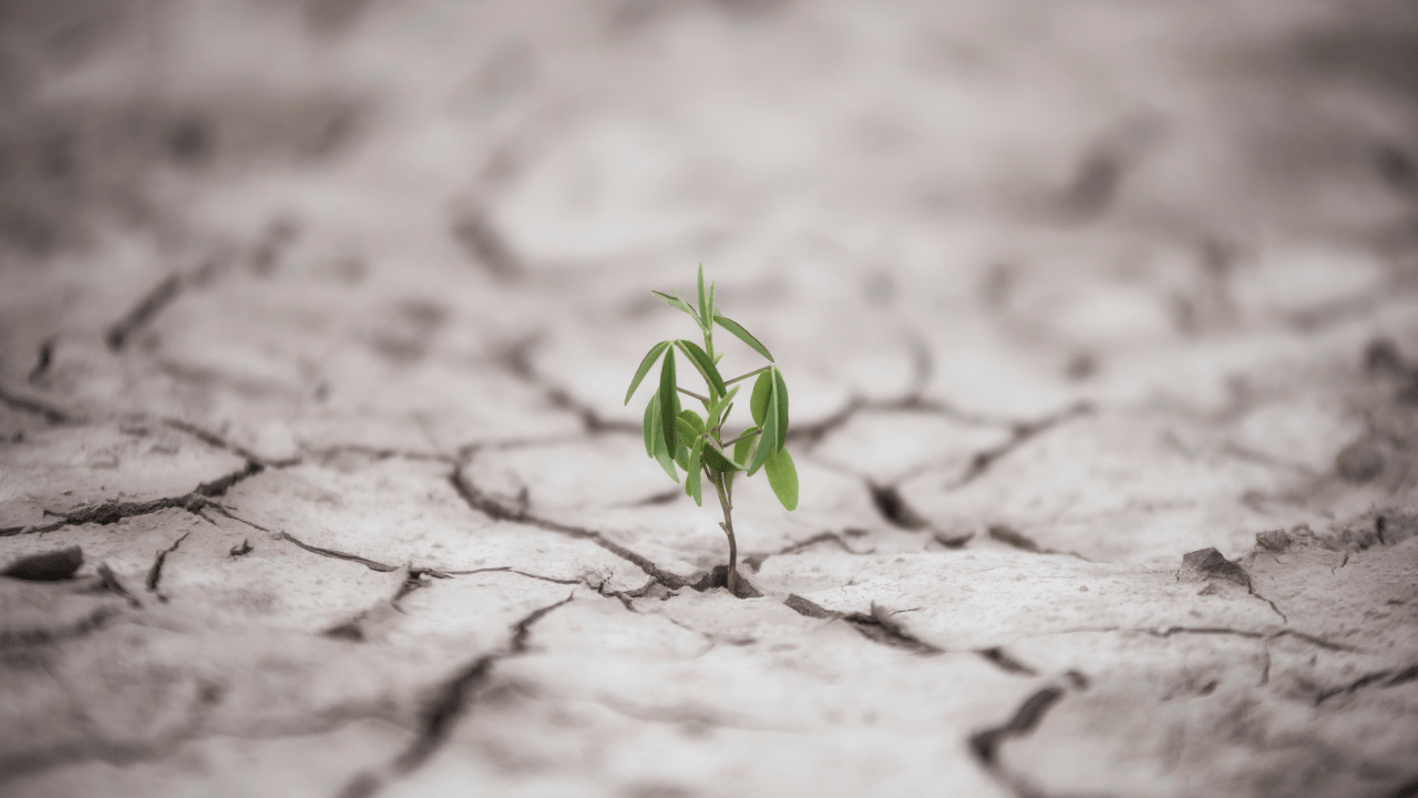 The Power of Resilience: Bouncing Back from Failure