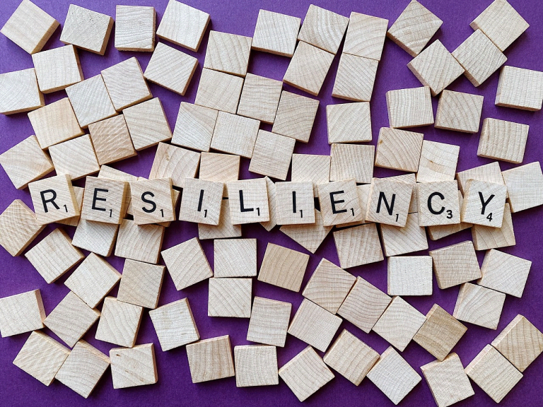 Resilience in Business: How to Build a Company that Withstands Shocks www.strategicadvisorboard.com