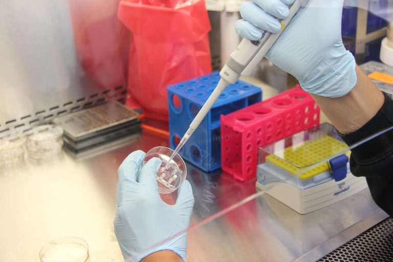 Science, lab, laboratory, and research