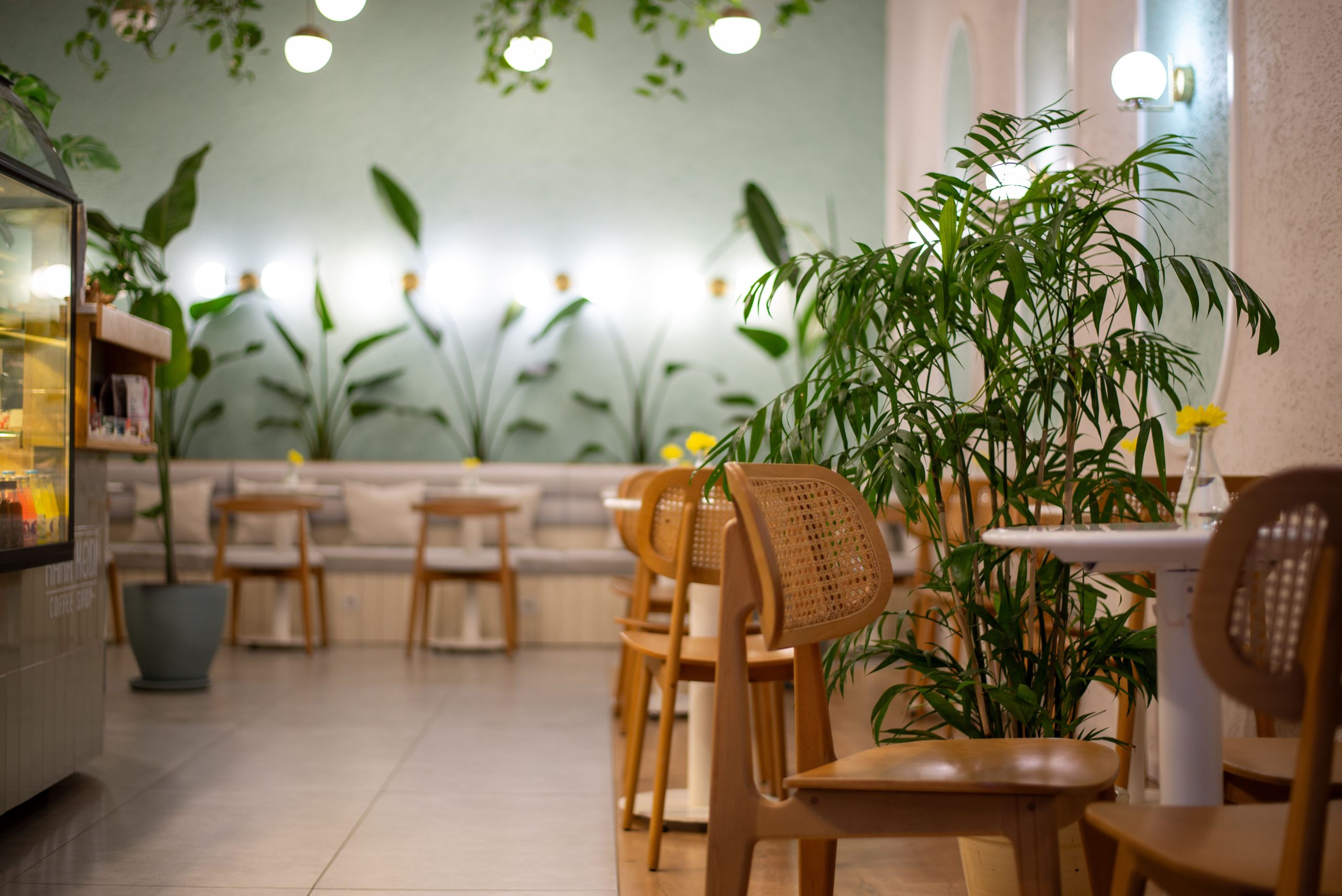 Cafe seating with tables, wooden chairs and plants